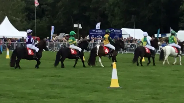 Children on ponies