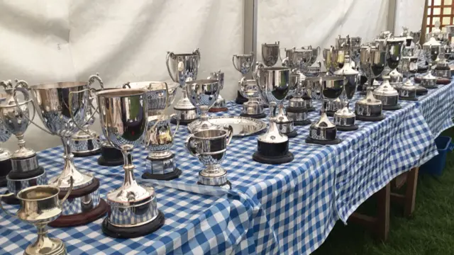 Trophies