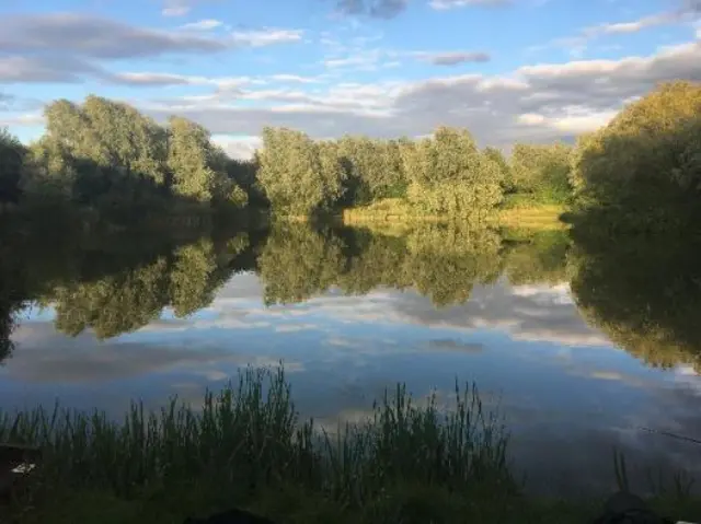 The sky and trees reflected in the water of a lake.