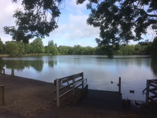 Needham Lake and Nature Reserve