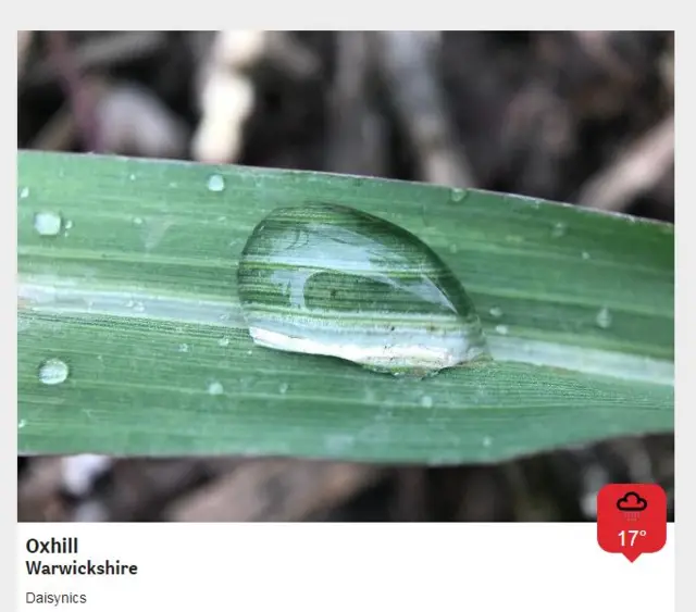 rain on grass