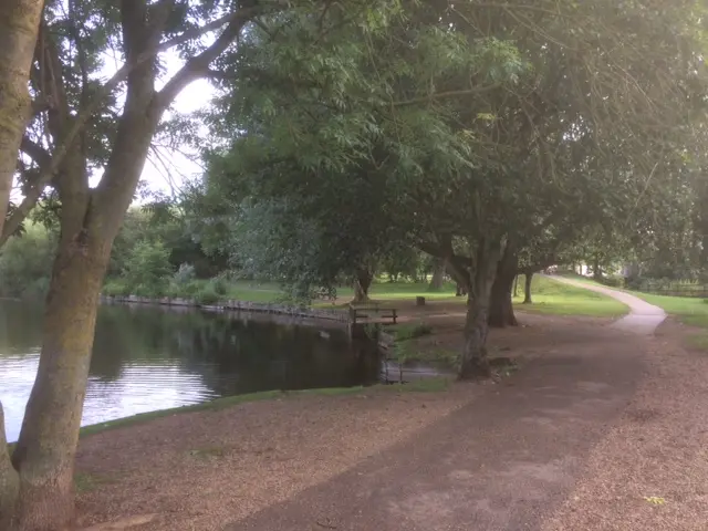 Needham Lake and Nature Reserve