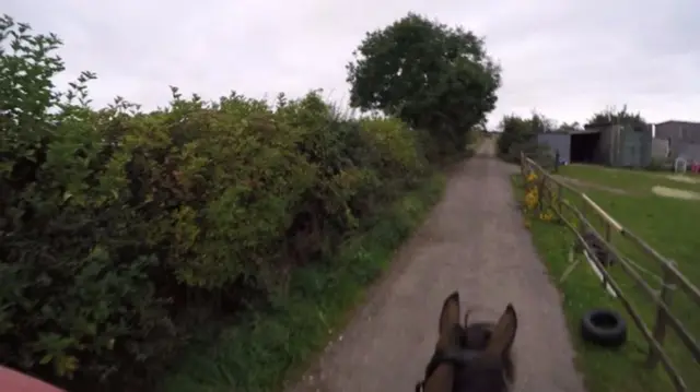 Head camera footage from a horse rider