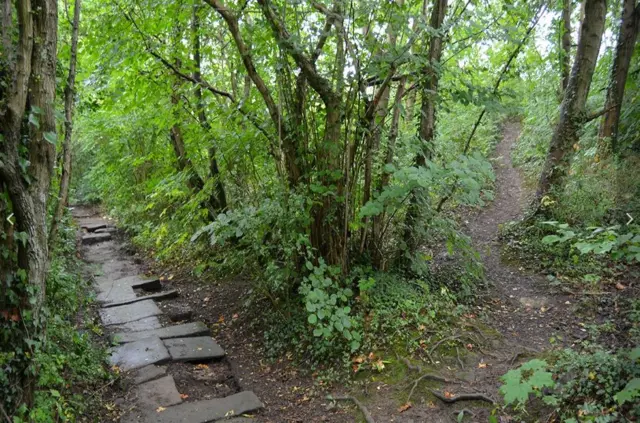 Gritstone path