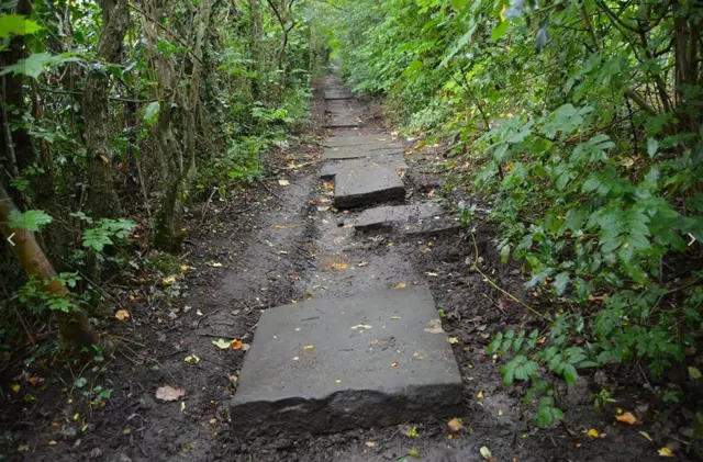 Gritstone path