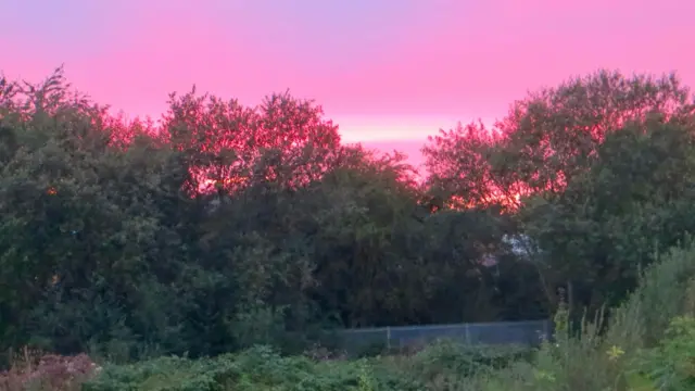 Pink sky at night