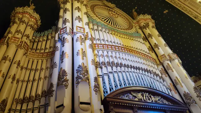 Large organ