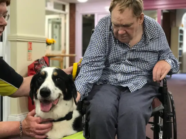 Dogs are used in care homes