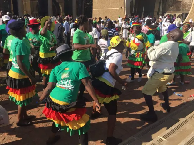 Pro-Mugabe marchers