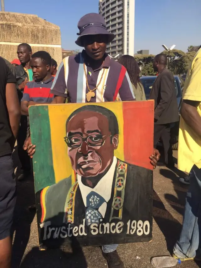 Pro-Mugabe marchers