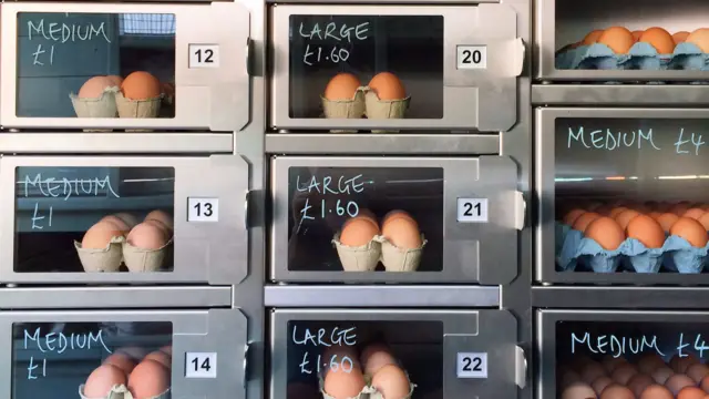 Egg vending machine