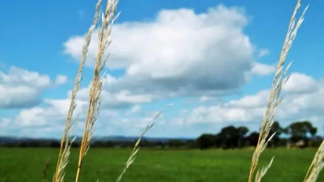 Field near Longnor