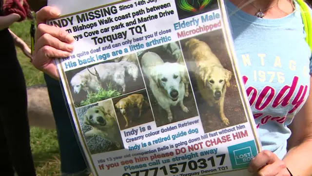 Missing dog poster