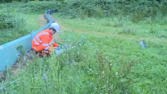 Work on the 'green corridor'