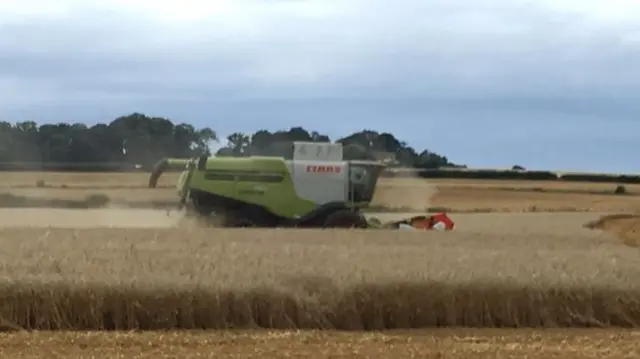 Harvester in field