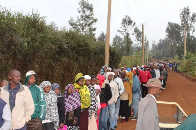 People are stood waiting in a long line down a lane.
