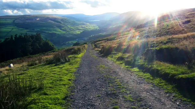 Nidderdale
