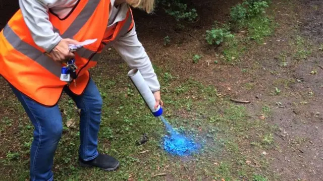 Blue spray on dog poo