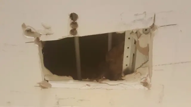 Hole in ceiling