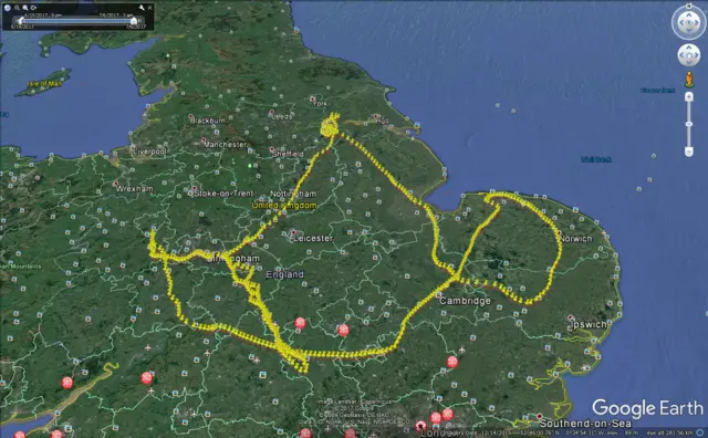 Route of nightjar