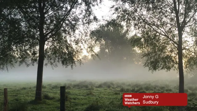 Mist over meadows, with trees