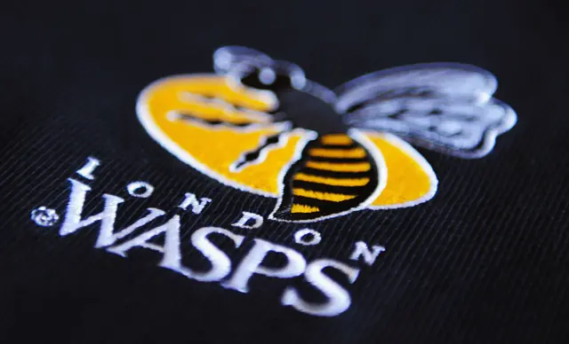 Wasps