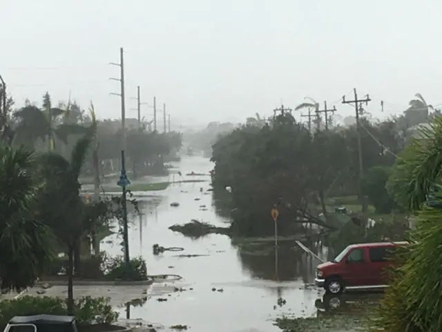 Fallen trees and flooded streets from Hurricane Irma on Florida's Marco Island