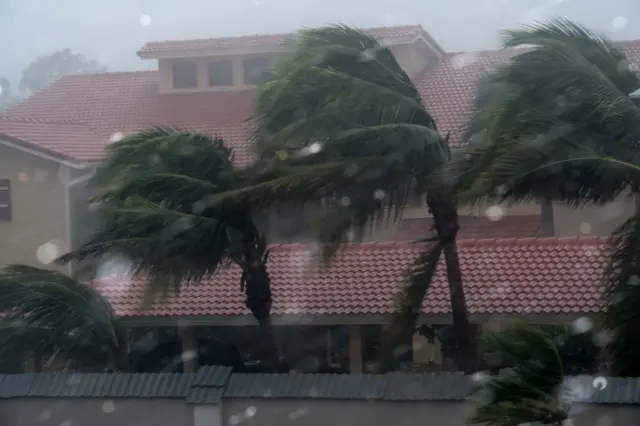 Palm trees sway in strong winds in Bonita Springs, north-east of Naples