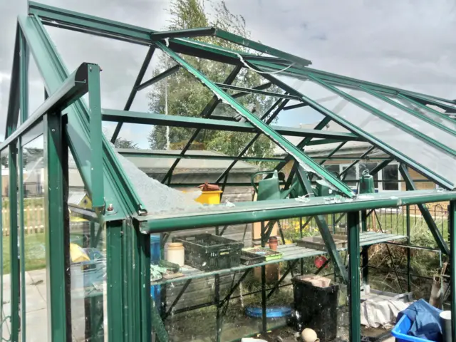 Greenhouse smashed in Goole