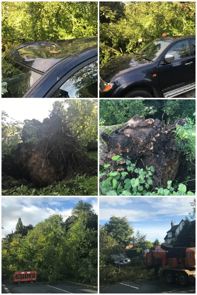 Tree falls on to car parked in Nether Poppleton near York