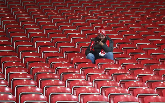 Fan at stadium on phone