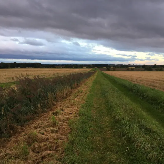 view of fields