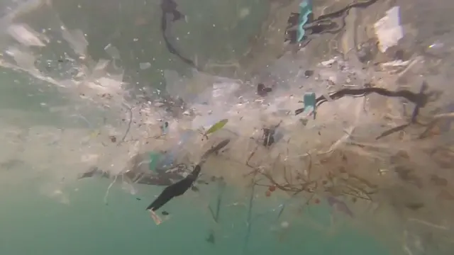 Plastic waste in the sea