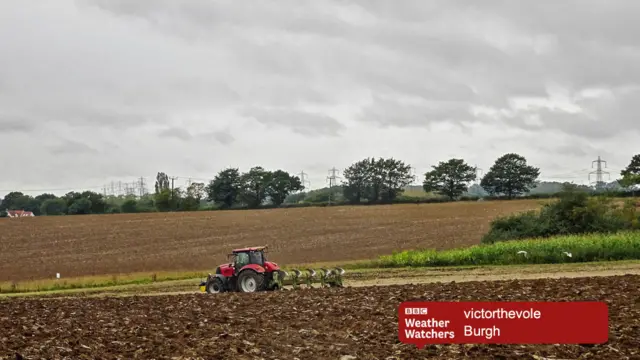 Tractor ploughing field