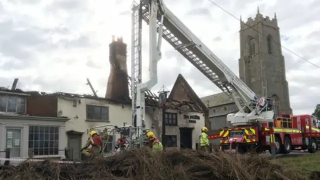 Remains of Swan at Ingham