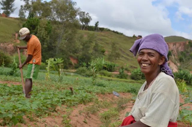 Field in Madagascar