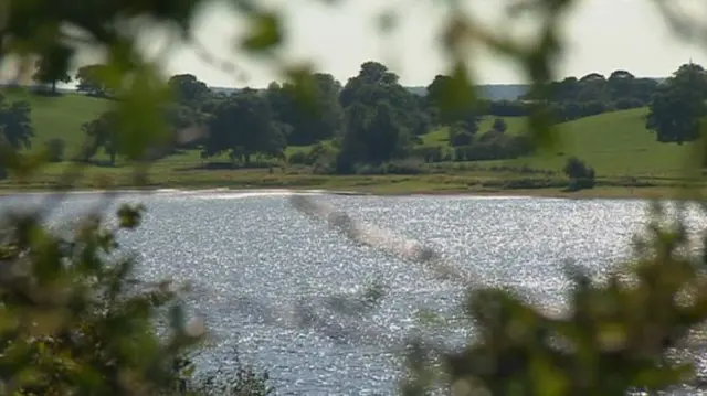 View of reservoir with greenery in foreground