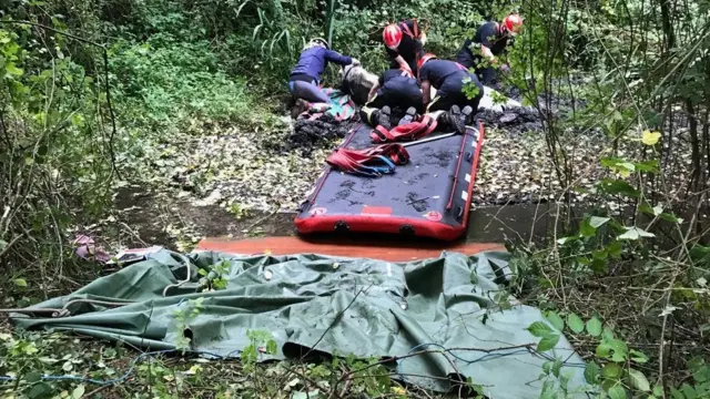 Pony being rescue