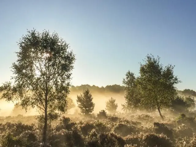 Budby mist sun weather