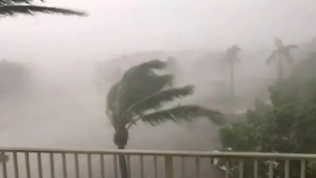 Hurricane in Florida