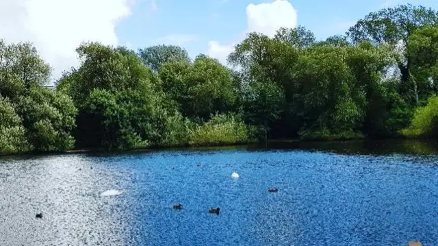 Lake in Telford