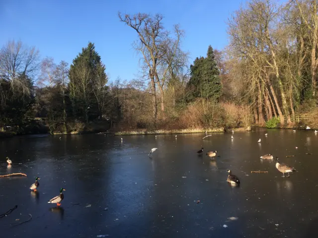 Christchurch Park