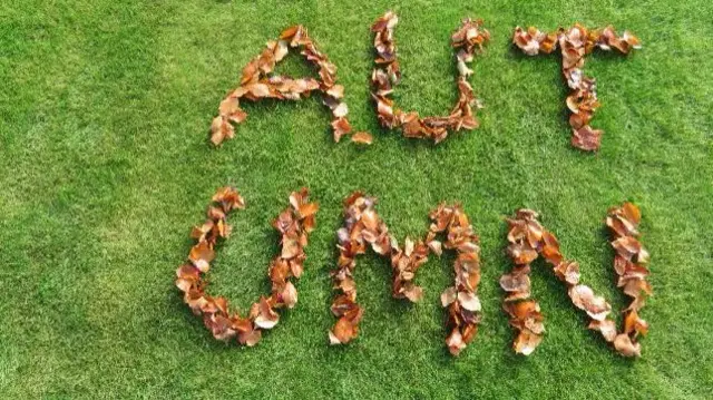 Autumn spelt out in leaves