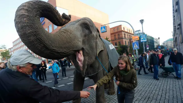 Protest in Berlin with elephant