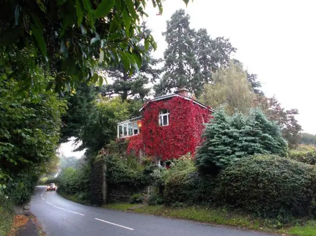 Red leaves on house at Lyonshall