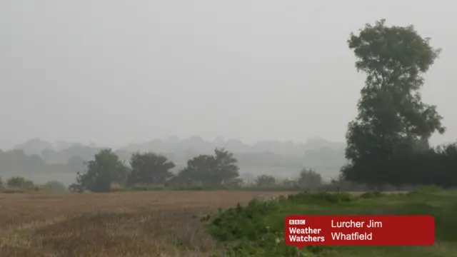 Mist over countryside