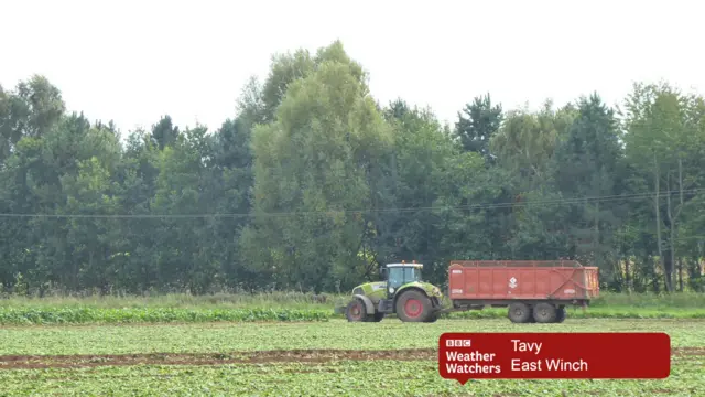 Tractor on farmland