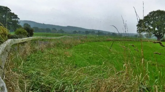 Field near Longor