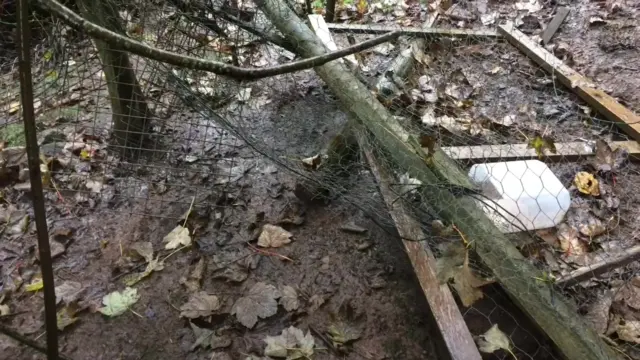 Damaged fence