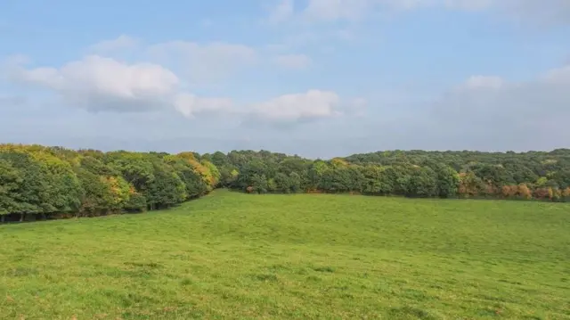 Autumn colours starting to show